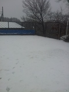 2012-01-20 .jpg
