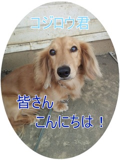 2012-06-27 RWE.jpg