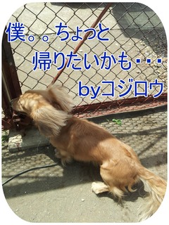 2012-06-27 RWEP.jpg