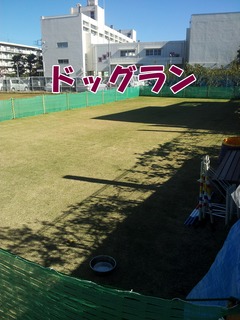 J2.jpg